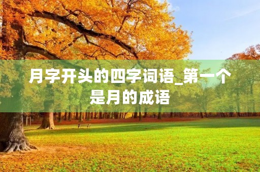 月字开头的四字词语_第一个是月的成语