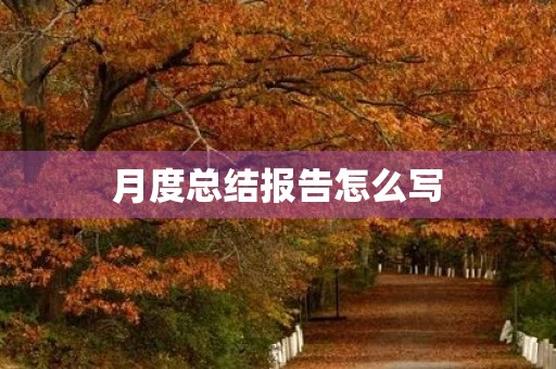 月度总结报告怎么写