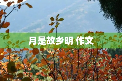 月是故乡明 作文 月是故乡明 作文
