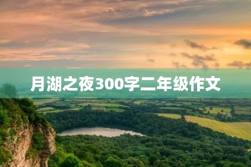 月湖之夜300字二年级作文 月湖之夜300字二年级作文