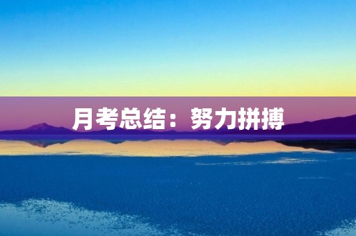 月考总结：努力拼搏，追求进步
