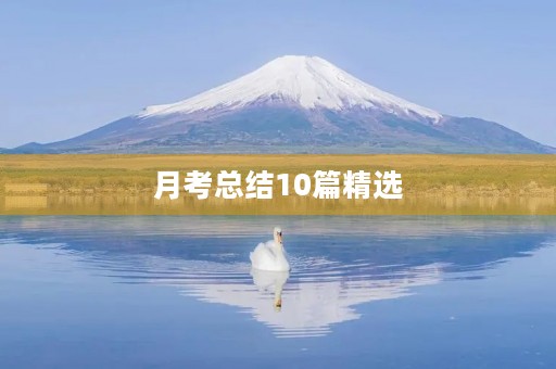 月考总结10篇精选