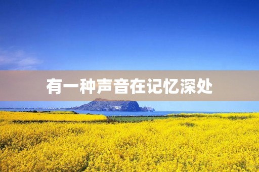 有一种声音在记忆深处
