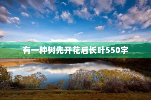有一种树先开花后长叶550字 有一种树先开花后长叶550字