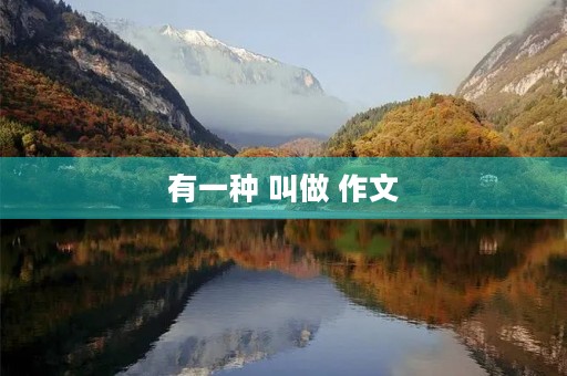 有一种 叫做 作文 有一种 叫做 作文