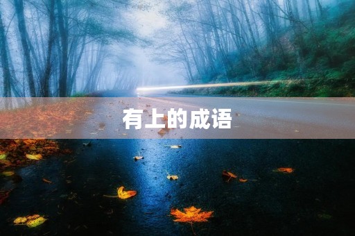有上的成语