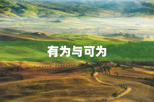 有为与可为 有为与可为