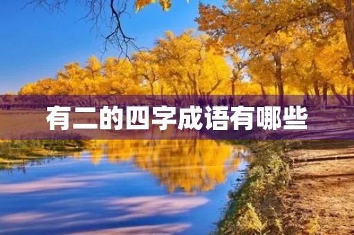 有二的四字成语有哪些 有二的四字成语有哪些