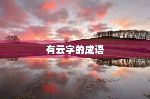 有云字的成语 有云字的成语