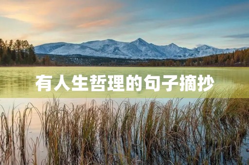 有人生哲理的句子摘抄,有人生哲理的句子摘抄议论文 有人生哲理的句子摘抄,有人生哲理的句子摘抄议论文