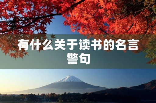 有什么关于读书的名言警句,有什么关于读书的名言警句读书半卷下笔如有神 有什么关于读书的名言警句,有什么关于读书的名言警句读书半卷下笔如有神