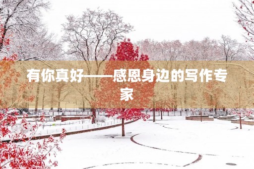 有你真好——感恩身边的写作专家 有你真好——感恩身边的写作专家