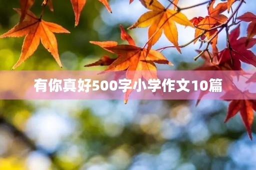 有你真好500字小学作文10篇