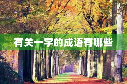 有关一字的成语有哪些