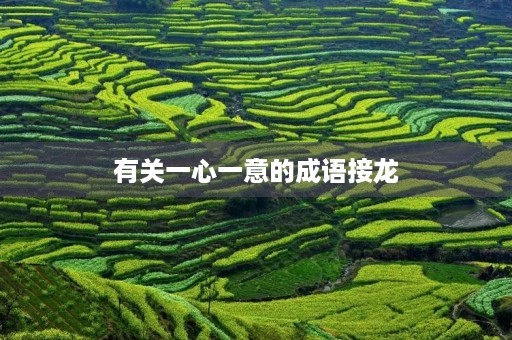 有关一心一意的成语接龙
