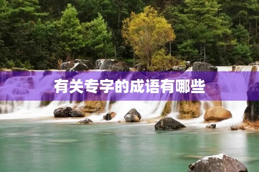 有关专字的成语有哪些 有关专字的成语有哪些