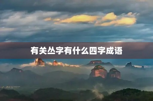 有关丛字有什么四字成语