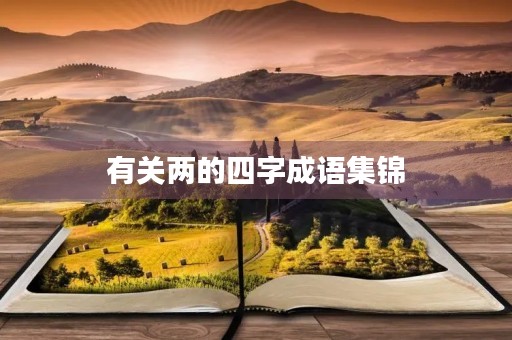 有关两的四字成语集锦