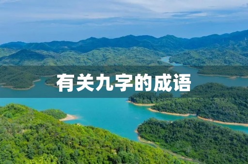 有关九字的成语