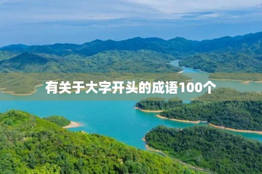 有关于大字开头的成语100个