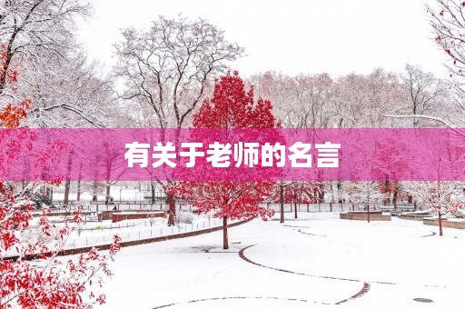 有关于老师的名言(有关于老师的名言名句诗句)