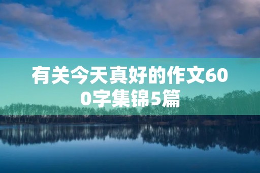 有关今天真好的作文600字集锦5篇
