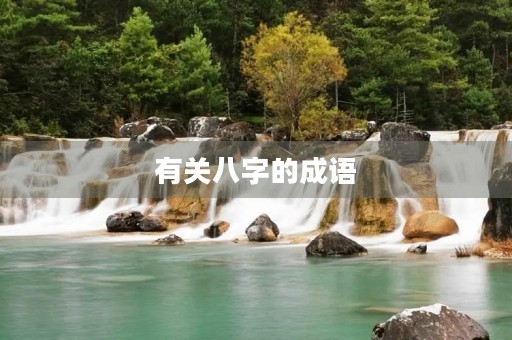 有关八字的成语