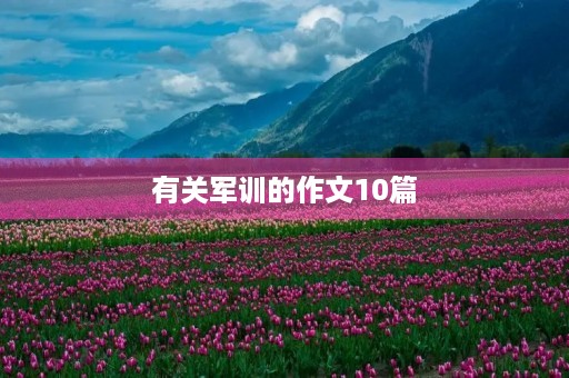有关军训的作文10篇 有关军训的作文10篇