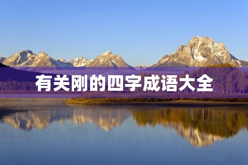 有关刚的四字成语大全