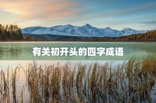 有关初开头的四字成语 有关初开头的四字成语