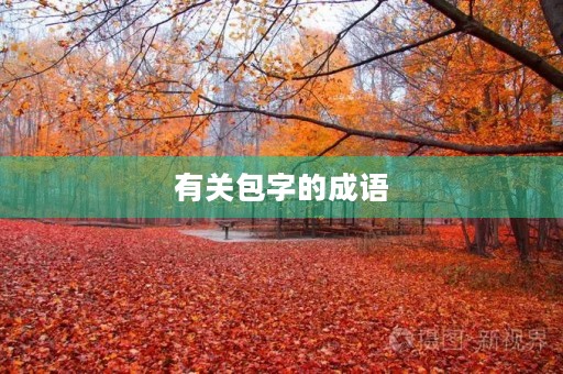 有关包字的成语 有关包字的成语