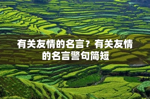 有关友情的名言?有关友情的名言警句简短 有关友情的名言?有关友情的名言警句简短