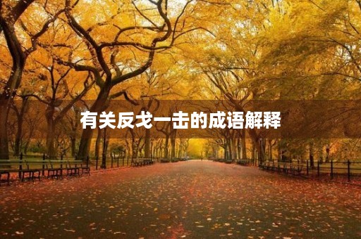 有关反戈一击的成语解释