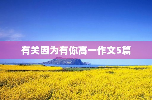 有关因为有你高一作文5篇 有关因为有你高一作文5篇
