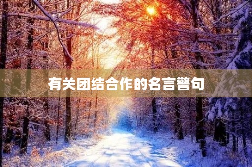 有关团结合作的名言警句(小学有关团结合作的名言警句) 有关团结合作的名言警句(小学有关团结合作的名言警句)