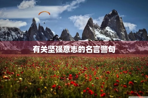 有关坚强意志的名言警句,有关坚强意志的名言警句摘抄 有关坚强意志的名言警句,有关坚强意志的名言警句摘抄