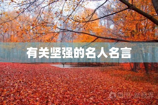 有关坚强的名人名言(有关坚强的名人名言摘抄) 有关坚强的名人名言(有关坚强的名人名言摘抄)