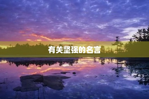 有关坚强的名言(有关坚强的名言警句)