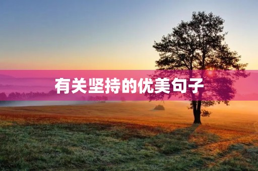 有关坚持的优美句子，有关坚持的优美句子摘抄