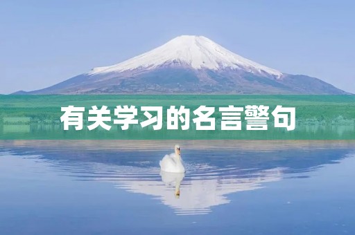 有关学习的名言警句,与勤奋有关的名言警句 有关学习的名言警句,与勤奋有关的名言警句