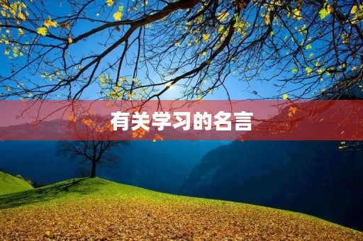 有关学习的名言，关于读书的名言句子