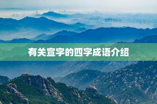 有关宣字的四字成语介绍