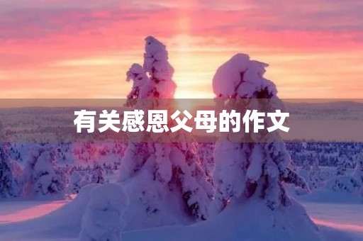 有关感恩父母的作文 有关感恩父母的作文