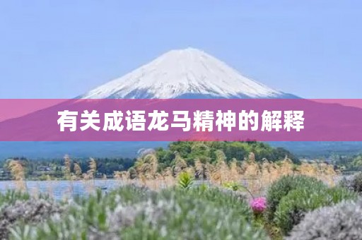 有关成语龙马精神的解释