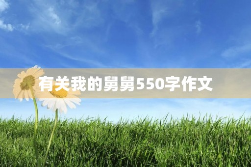 有关我的舅舅550字作文 有关我的舅舅550字作文