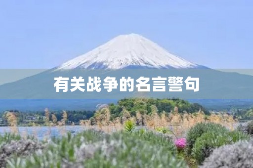 有关战争的名言警句(有关战争的名言警句英文)