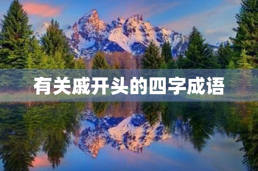 有关戚开头的四字成语