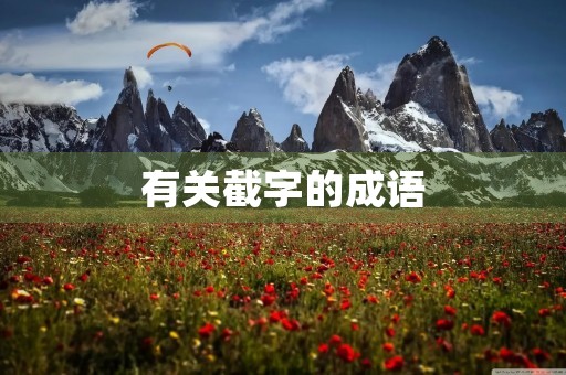 有关截字的成语
