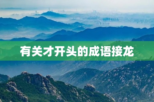 有关才开头的成语接龙
