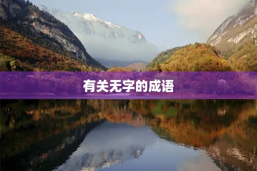 有关无字的成语 有关无字的成语